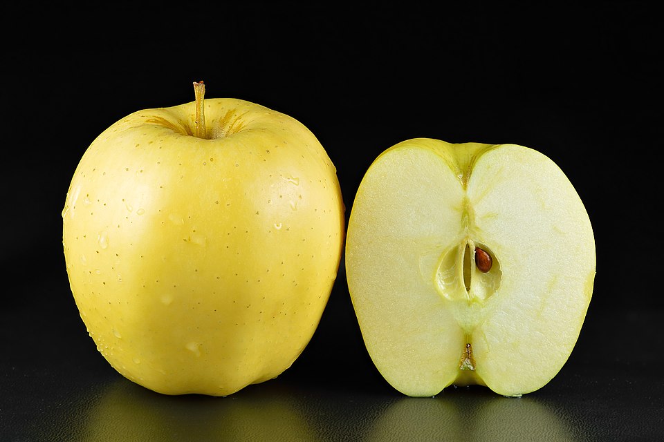 Odrůda Golden delicious – referenční fotografie